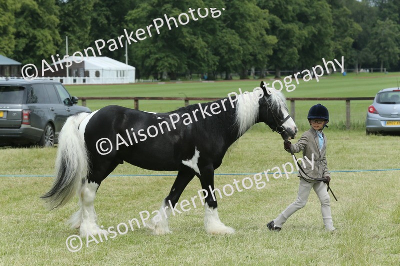 20260614-4252 - Class 18 - Best Junior Handler
