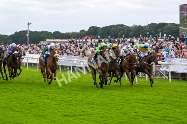 210824-Race 1-Jm Jungle-4507 - Race 1 1.50pm Symphony Group Handicap