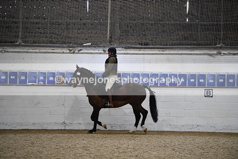 WJ5_7969 - Class 13 Ridden Part Breed