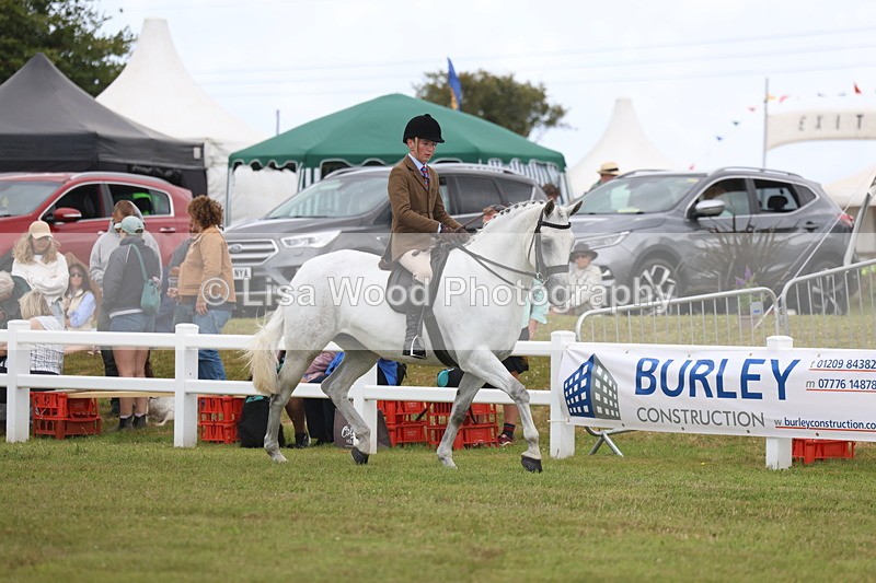 3E7A1357 - Class 9: Open Hunter