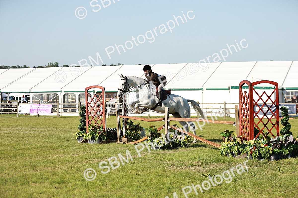 SBM_19935 - Class 115-116 - LIHS BSHA Rising Star Working Hunter & Show Horse