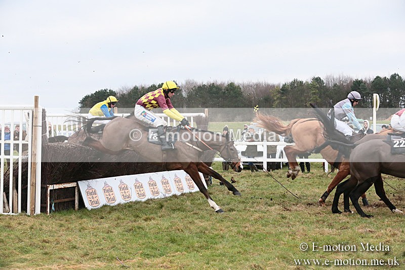 PtP 060119 471 - Larkhill Racing Club - Point-to-Point- 06/01/2019