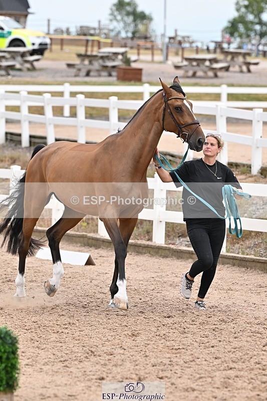 250716-143533-01231 - Trot Up 2.30 to 3.30