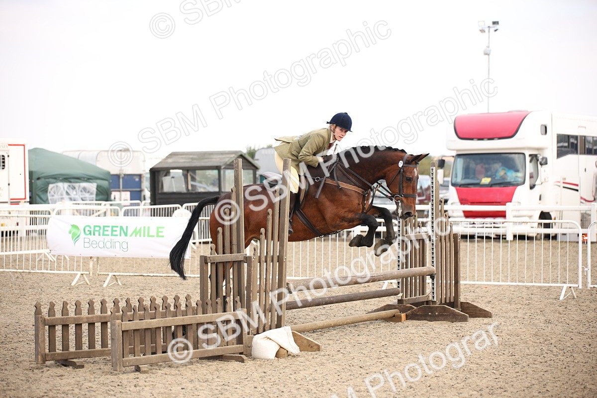 SBM_16050 - Class 408b - Working Veteran 70cm (20+)