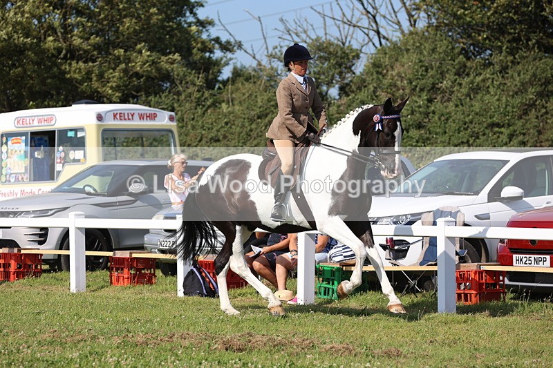 JPP_1749 - Class 19: Cornish Combination Open