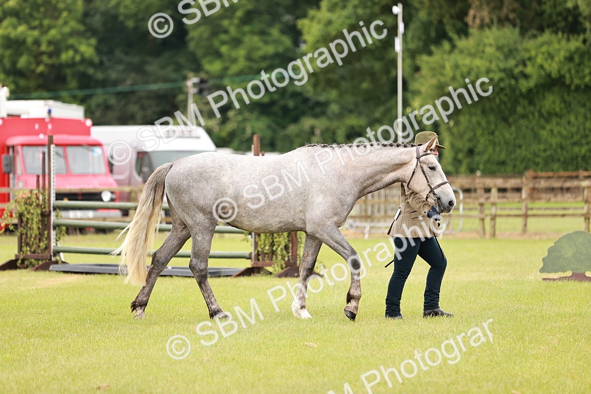 SBM_00721 - Class 26-30 Sport Horse In Hand