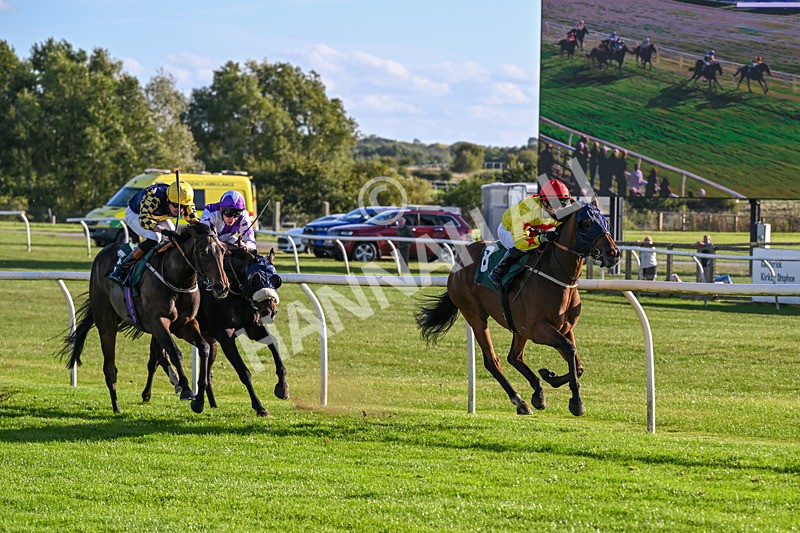 300926-Race 5-Vince Le Prince-6747 - Race 5 4.15pm Bet At racingtv.com Handicap (Div II)