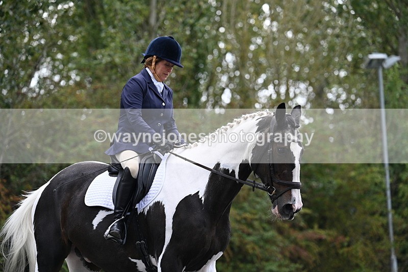 WJ7_3487 - Time 09:54 to 10:54