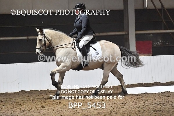 BPP_5453 - NOVICE TEST 4