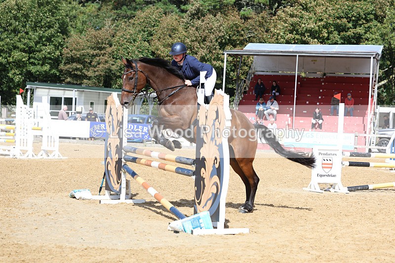 3E7A9457 - Class 9: Senior British Novice/90cm open