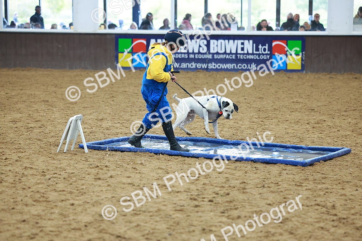 SBM_002293 - Class 3 - Horse & Hound (60cm)