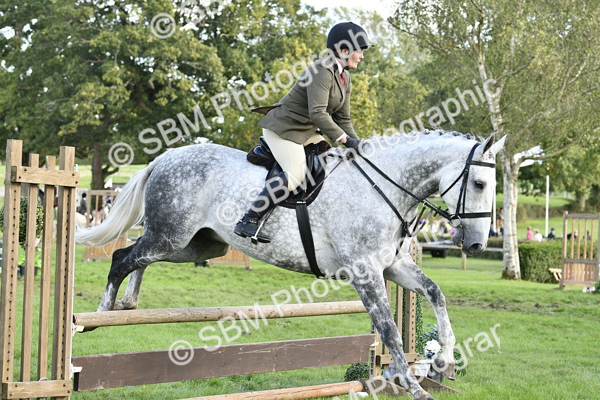 SBM_52170 - S35 - Working Hunter & Working Show Horse