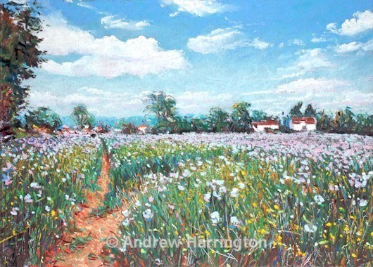 linseed Alpheton - Paintings 6