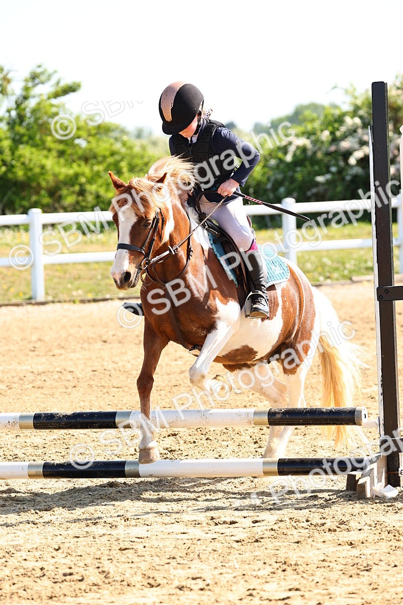 SBM_006660 - Class 2 - 50cm