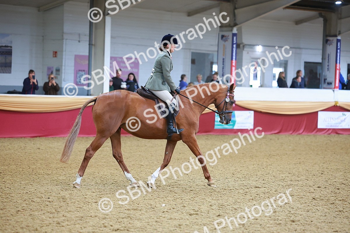 SBM_09742 - Class 102 - HOYS Veteran Qualifier - Ridden Veteran