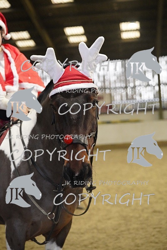 _DSC2604 - Mini Pairs