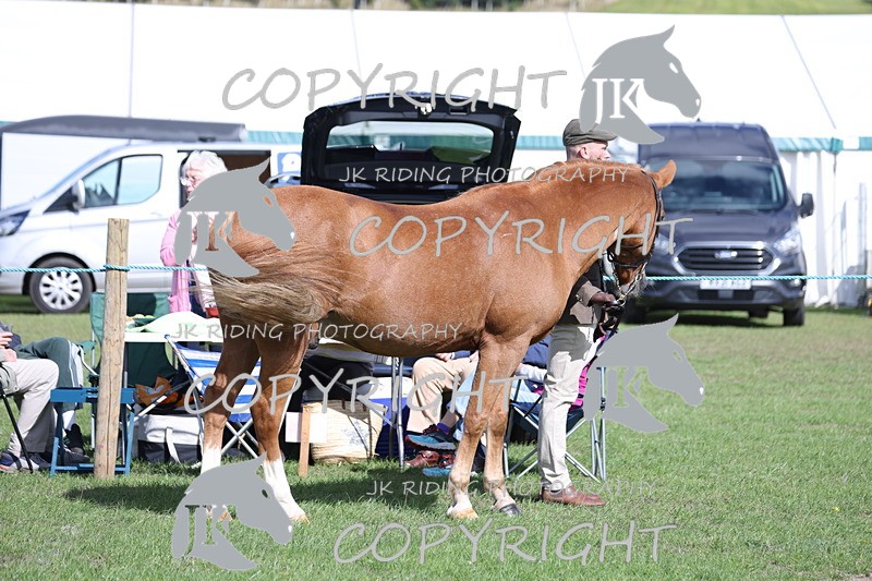 APP_2757 - Class 10a/b M&M in hand