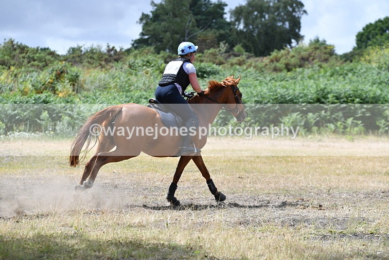 WJ5_2051 - XC Time 12:56 to 13:21