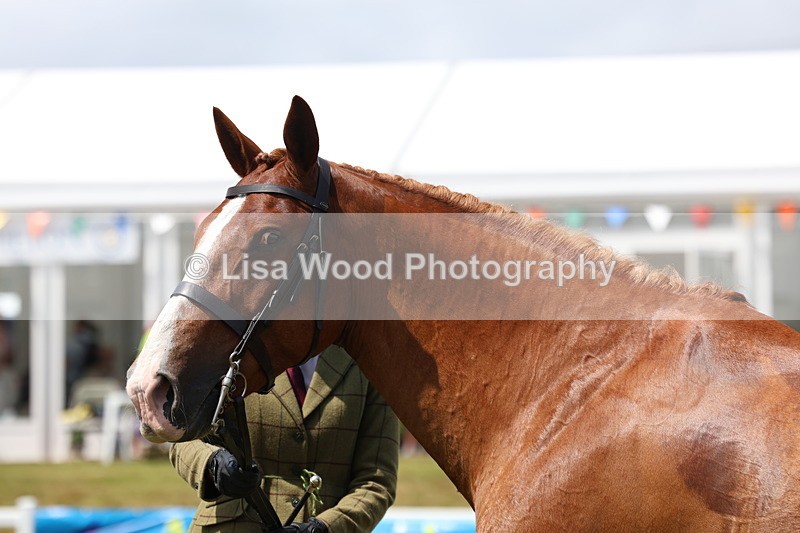 3E7A1666 - Class 9: Open Hunter