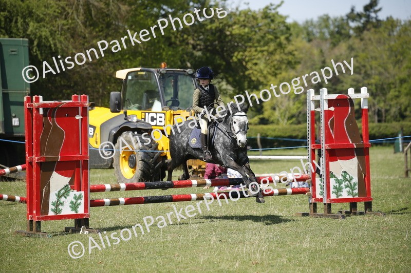 20250427-2317 - Class 13 - Novice Jumping 60cm