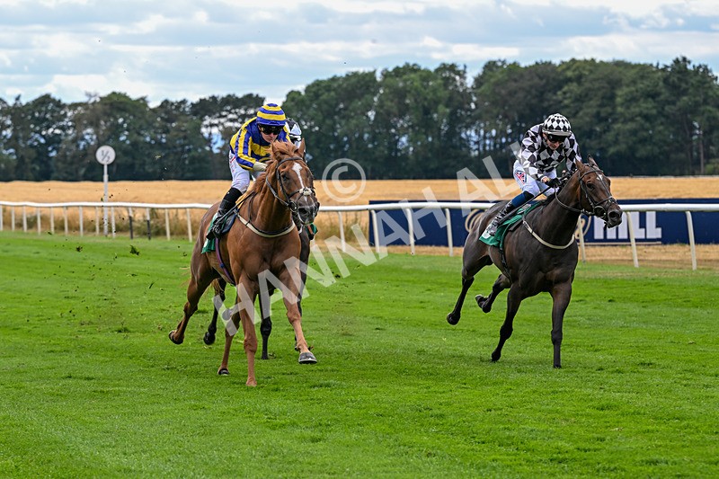 070826-Race 4-Azuinthejungle-1835 - Race 4 15.40pm Ladies' Day Saturday 5th September - Book Now Handicap
