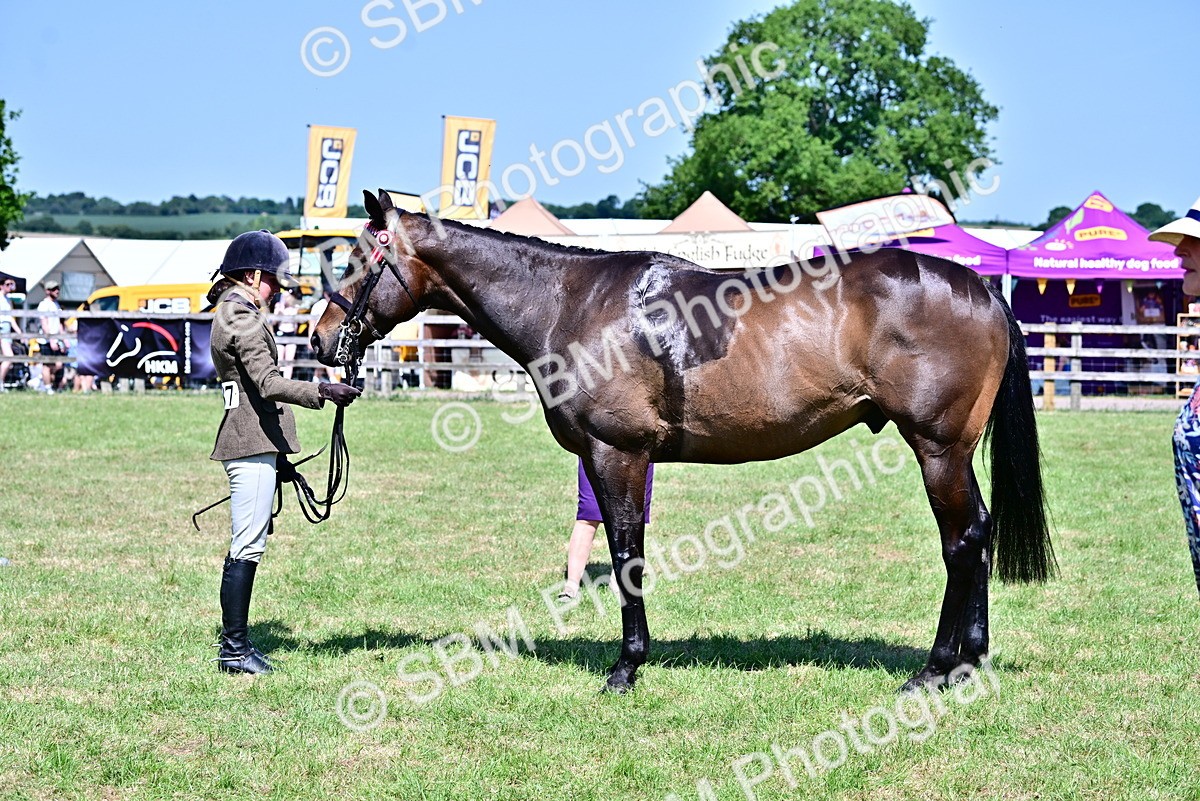 SBM_18172 - Class 99-100 - Retraining of Racehorses Ridden