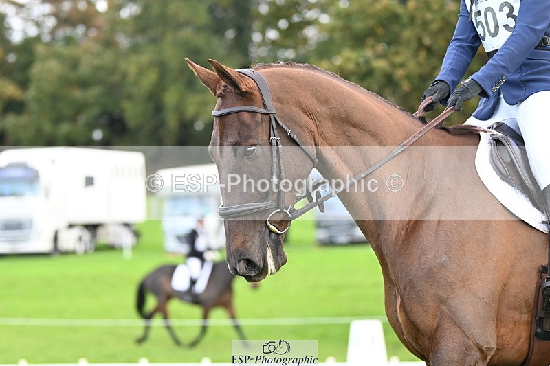 251023A-100746-02372 - G-503-Bethan.ODell