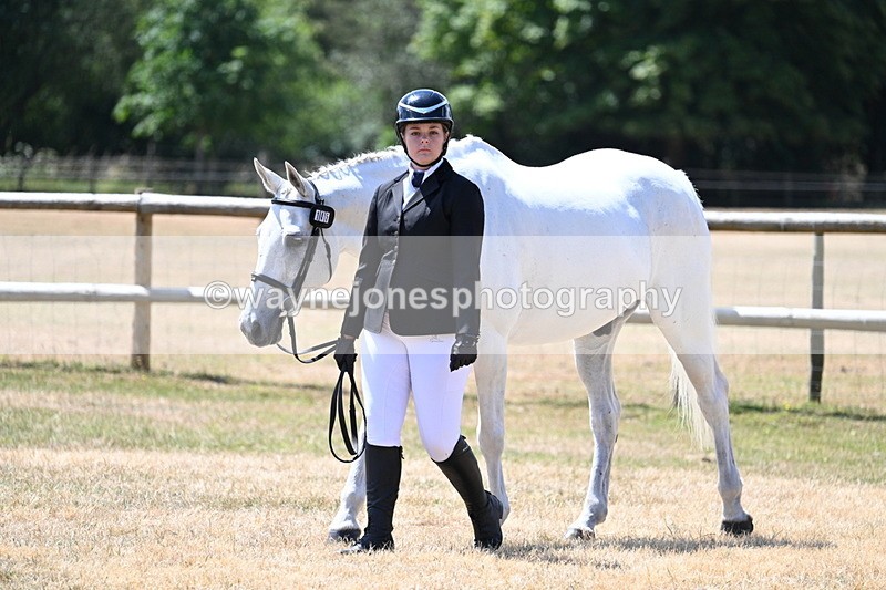 WJ7_2328 - Class 5a Most Handsome Gelding in hand (above 14.2hh)