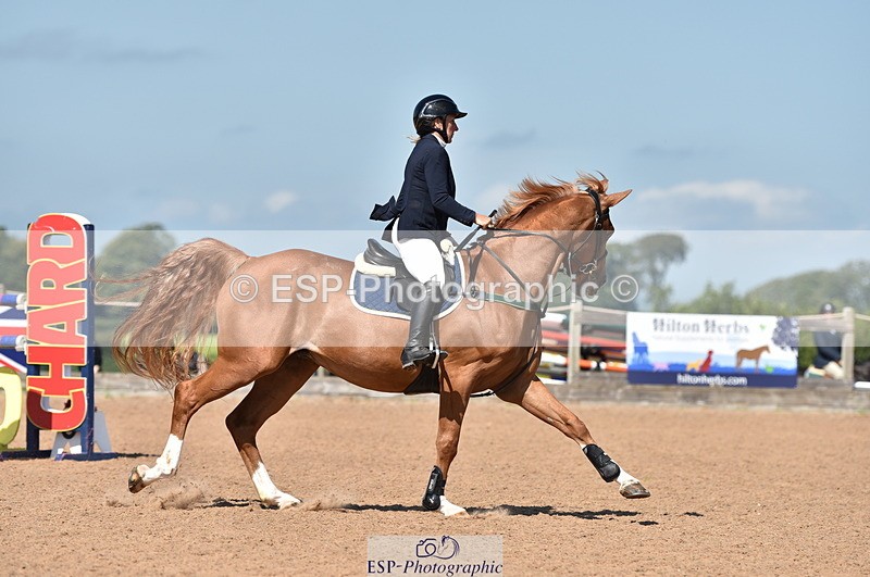 230810A-112910-00881 - Cls 9 Foxhunter