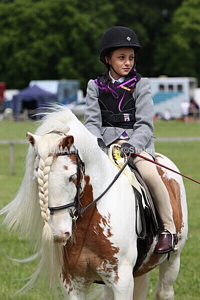 IMG_2731 - Working Hunter