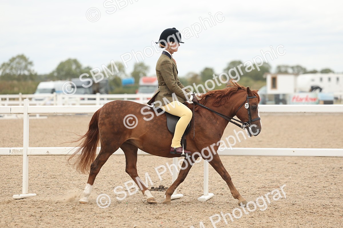 SBM_19115 - Class 316 - Best Pony-Rider Combination