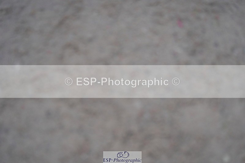 231017A-142626-07369 - Cls 29 Snr Foxhunter