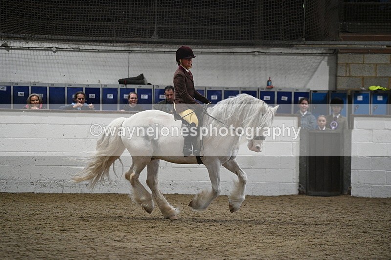 WJ7_4208 - Class 17 Ridden Cob