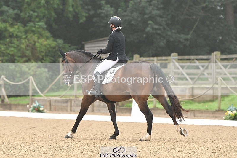 240811-094143-04847 - 119-Alice.Kneen-Dazzling.Springtime