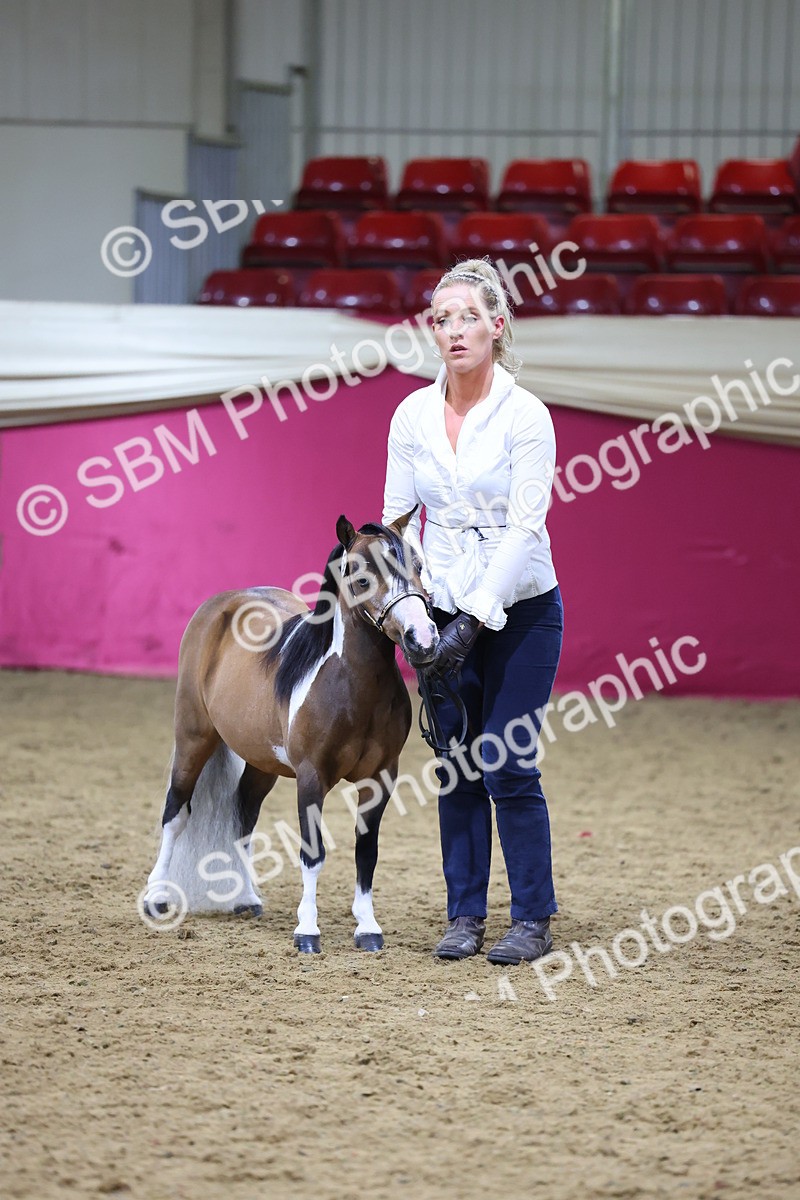 SBM_18704 - Class D IH Pony Champ
