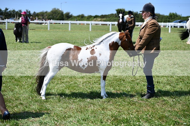 DSC_7695 - Class 64: Coloured Pony 4yrs & over