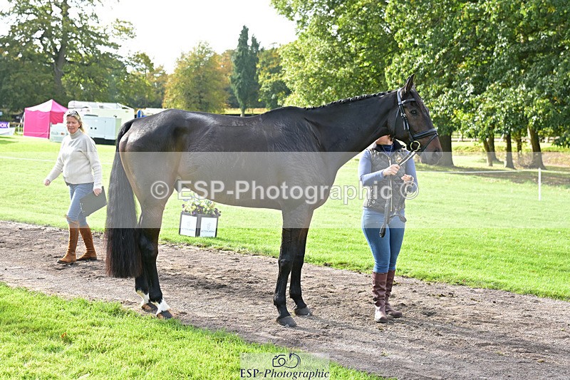 241023-132840-00314 - 051-Tommy.Greengard-BALLADEER.KILBRICKENS.LAD