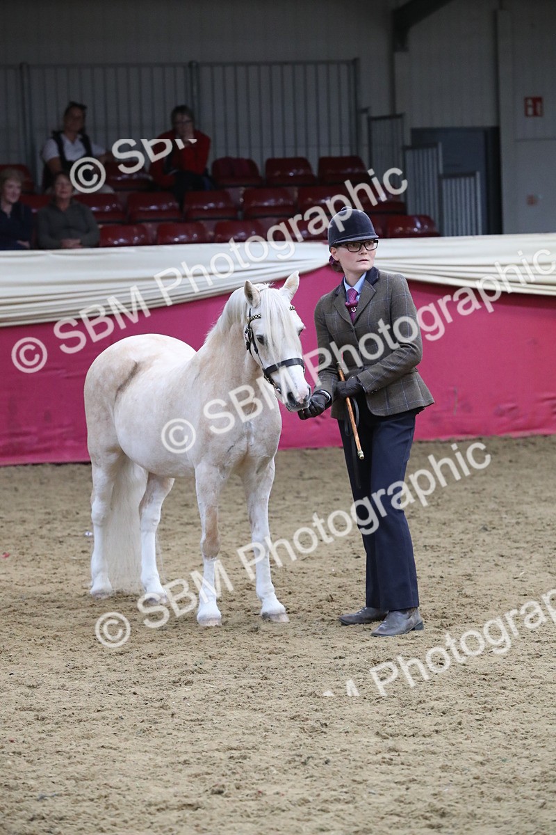 SBM_17201 - M&M Supreme Final Champ