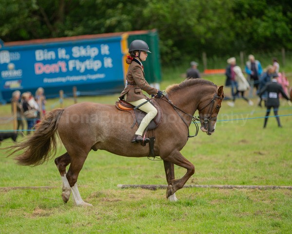 Dunblane show-629 - Dunblane and Doune Show Ring 1
