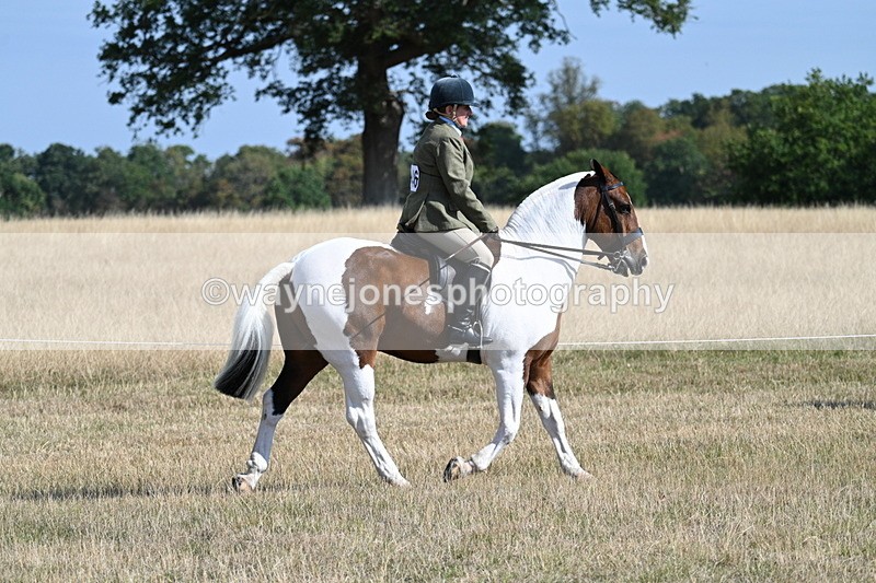 WJ7_2813 - Class 8 Ridden Tack & Turnout