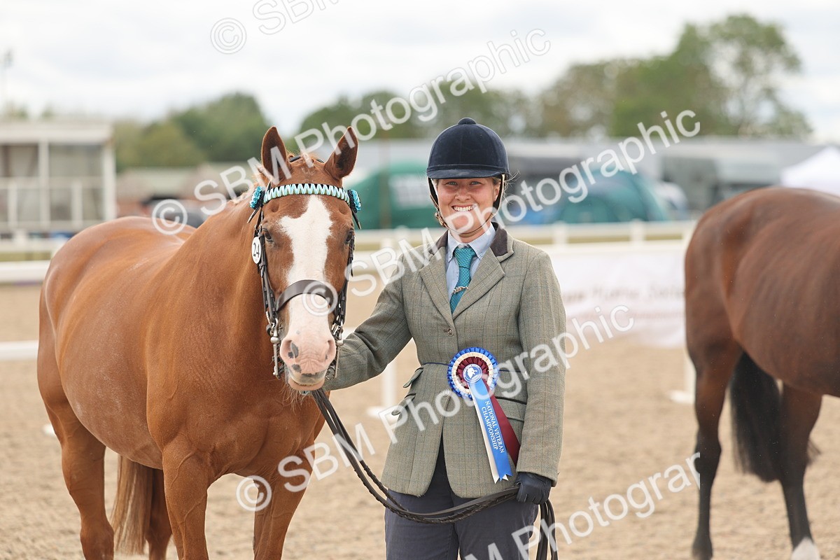 SBM_17026 - Class 312 - IH Competition Horse-Pony