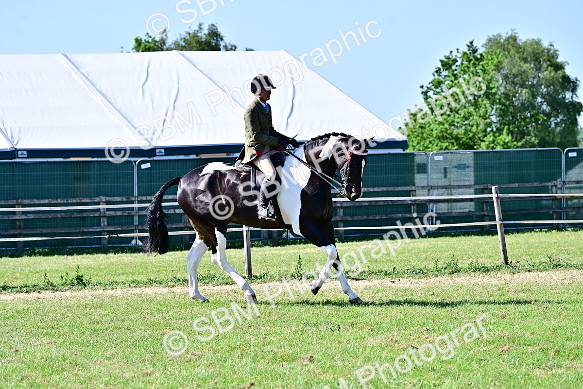 SBM_19513 - Class 101-102 - BSPS LIHS Performance Coloured Horse/Pony