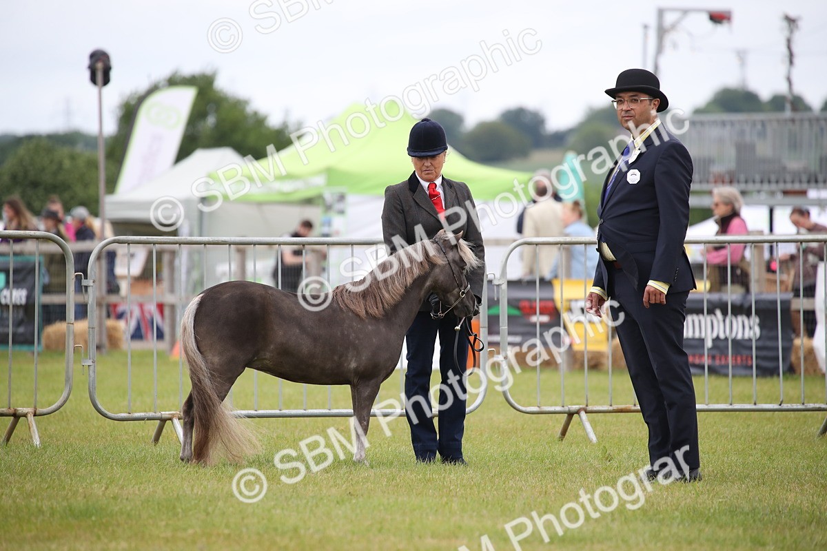 SBM_03860 - Class 23-25 - British Miniature Horse of the Year