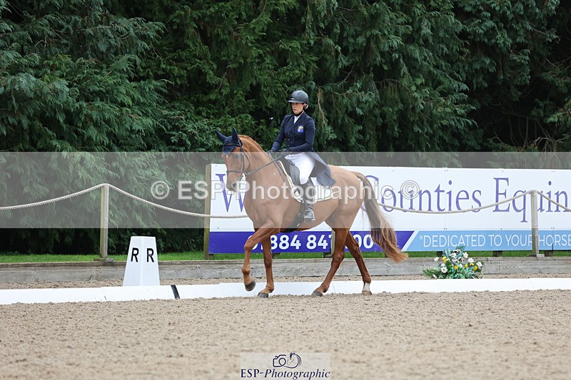 241024-141336-04027 - 239-Lissa.Green-KILLBUNNY.ANDY