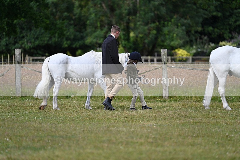 WJ7_4474 - Class 1 Lead Rein Pony