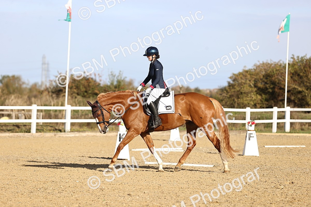 SBM_009082 - Class 2 - P5