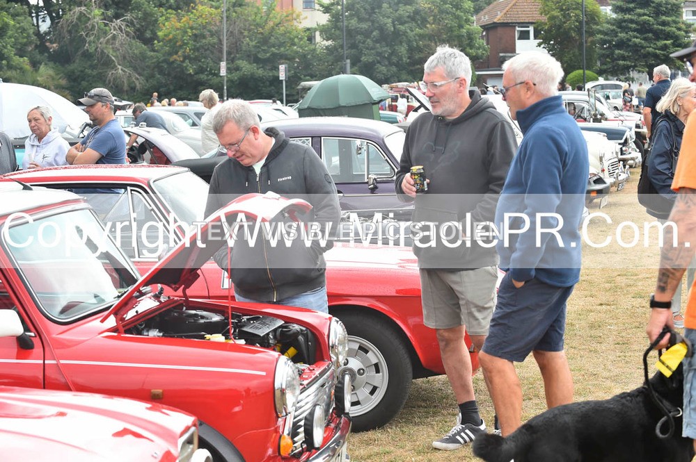 SH4_8824 - Torbay Old Wheels Club
