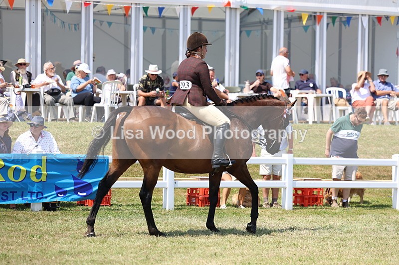 3E7A9276 - Class 12: Open Racehorse to Show Horse