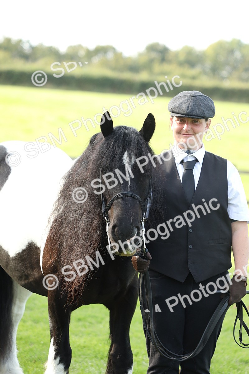 SBM_60962 - S43 - Coloured Pony In Hand
