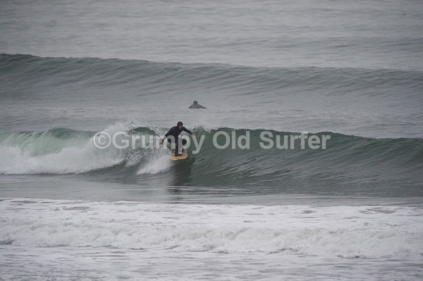 DSC_4591 - North Bay Scarborough 30th October 2016